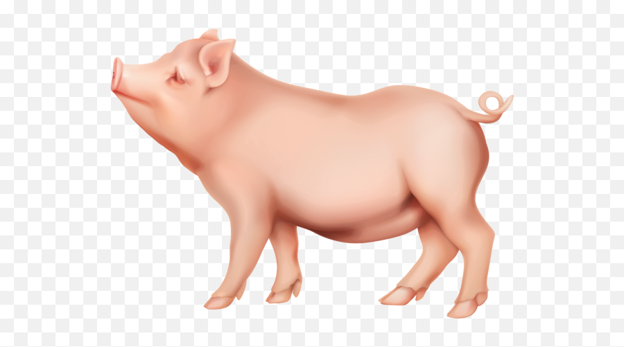 Pin - Pig Clipart Png,Piggy Bank Transparent Background