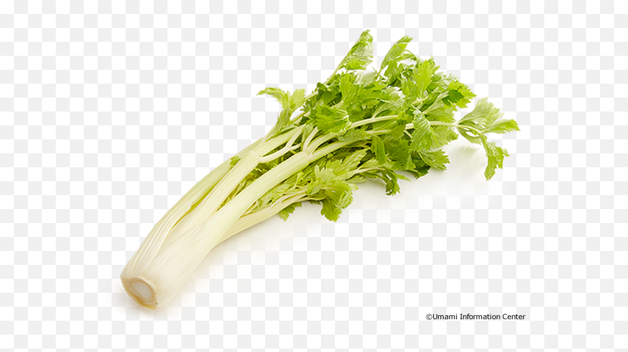 Hd Celery Transparent Png Image - Celery,Celery Png