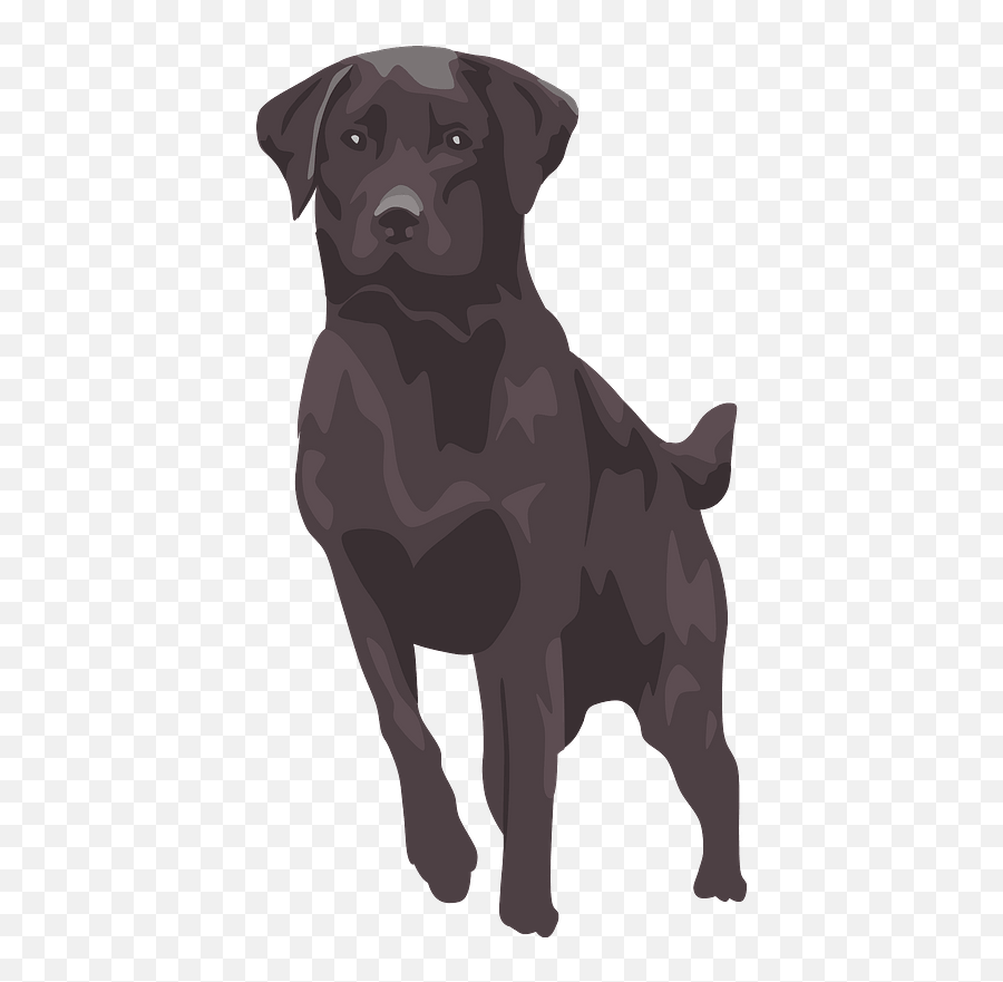 Black Lab Clipart - Black Lab Clip Art Png,Black Lab Png