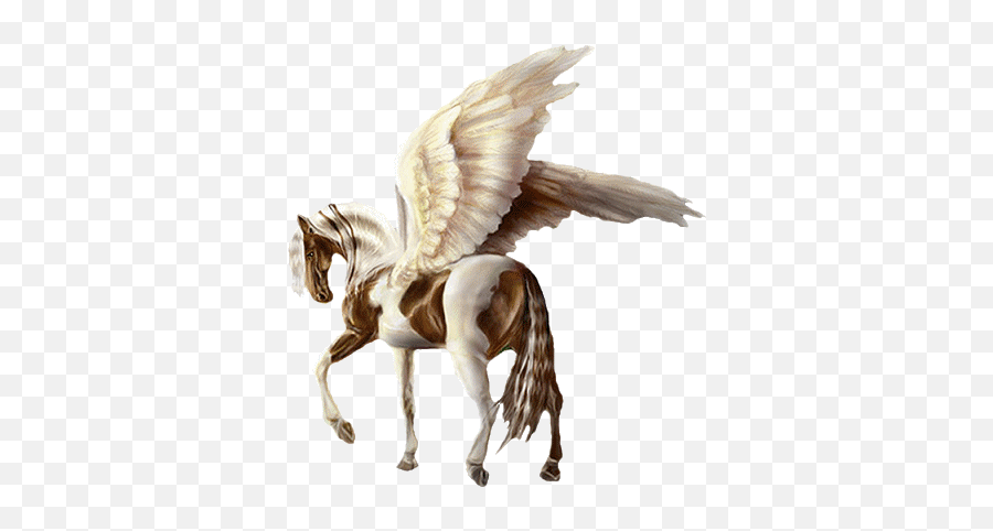 Pegasus Png