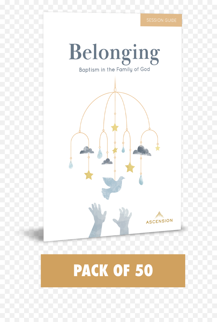 Belonging Baptism In The Family Of God Session Guide Pack 50 - Baptism Png,Baptism Png