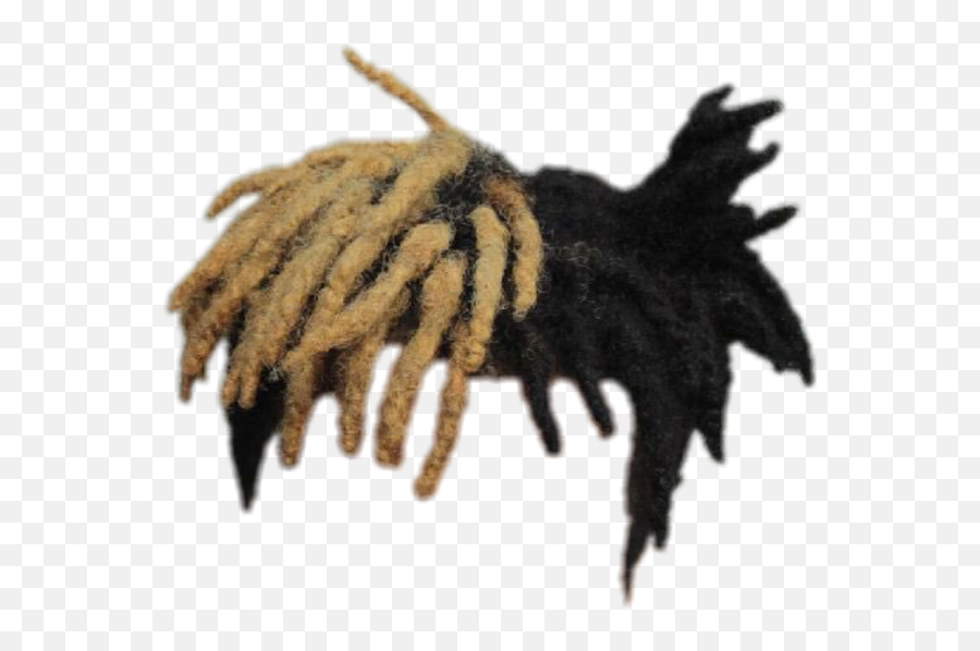 Xxxtentacion Hair Png Image - Xxxtentacion Hair Png,Xxxtentacion Png