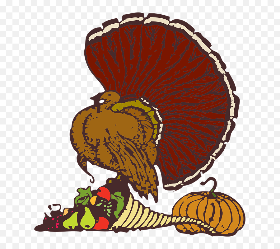 How Do I Make The Best Thanksgiving Turkey - Encharter Quote Thankful For Books Png,Thanksgiving Png Images