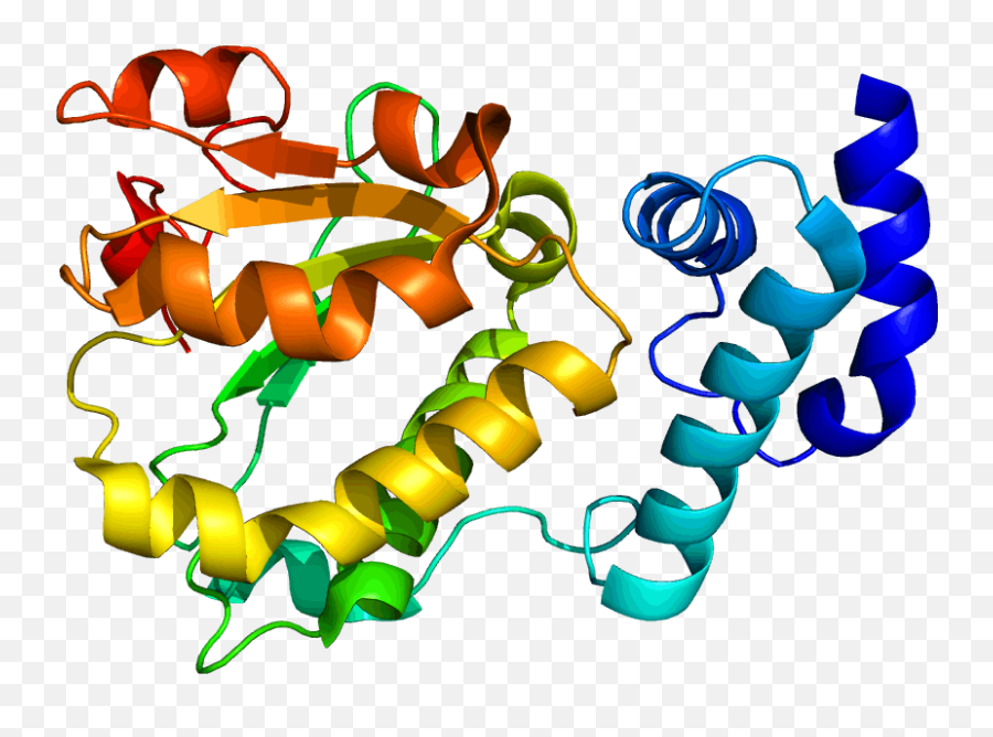Monomer Of Protein - Proteins Biology Png,Protein Png