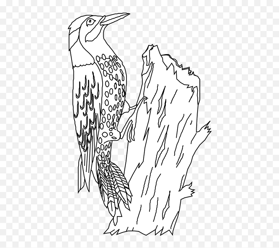 Bird Perched Woodpecker Tree - Free Vector Graphic On Pixabay Logo Burung Pelatuk Vector Png,Woodpecker Png