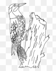 Bird Perched Woodpecker Tree - Free Vector Graphic On Pixabay Logo Burung Pelatuk Vector Png,Woodpecker Png