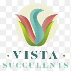 String Of Pearls Succulent - Shop Outdoor Succulents Online Vertical png