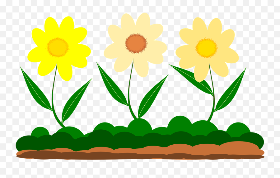 Yellow Flower Vector Image - Desenho De Flore Png,Green And Yellow Flower Logo