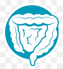 Colorectal Cancer Screening U0026 Colonoscopy Baptist Health - Language png