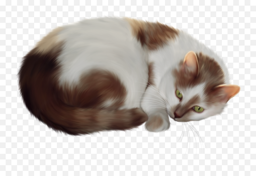 Sad Kitty Face Miss You Quotes Cat - Clip Art Library Cat Transparent Clip Art Png,Sad Cat Png