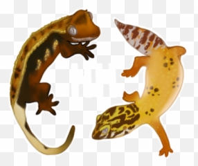 About Us Hollyu0027s Hatchlings - Animal Figure png