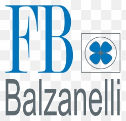 Wwwfb - Balzanelliusacom Fb Balzanelli Png,Fb Logo