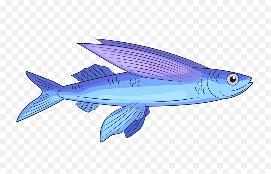 Flying Fish Clipart - Flying Fish Clipart Png,Fish Clipart Transparent