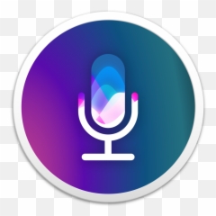 Siri Icon Png - Call Recorder Pro Icon Full Size Png Circle,Pros Icon