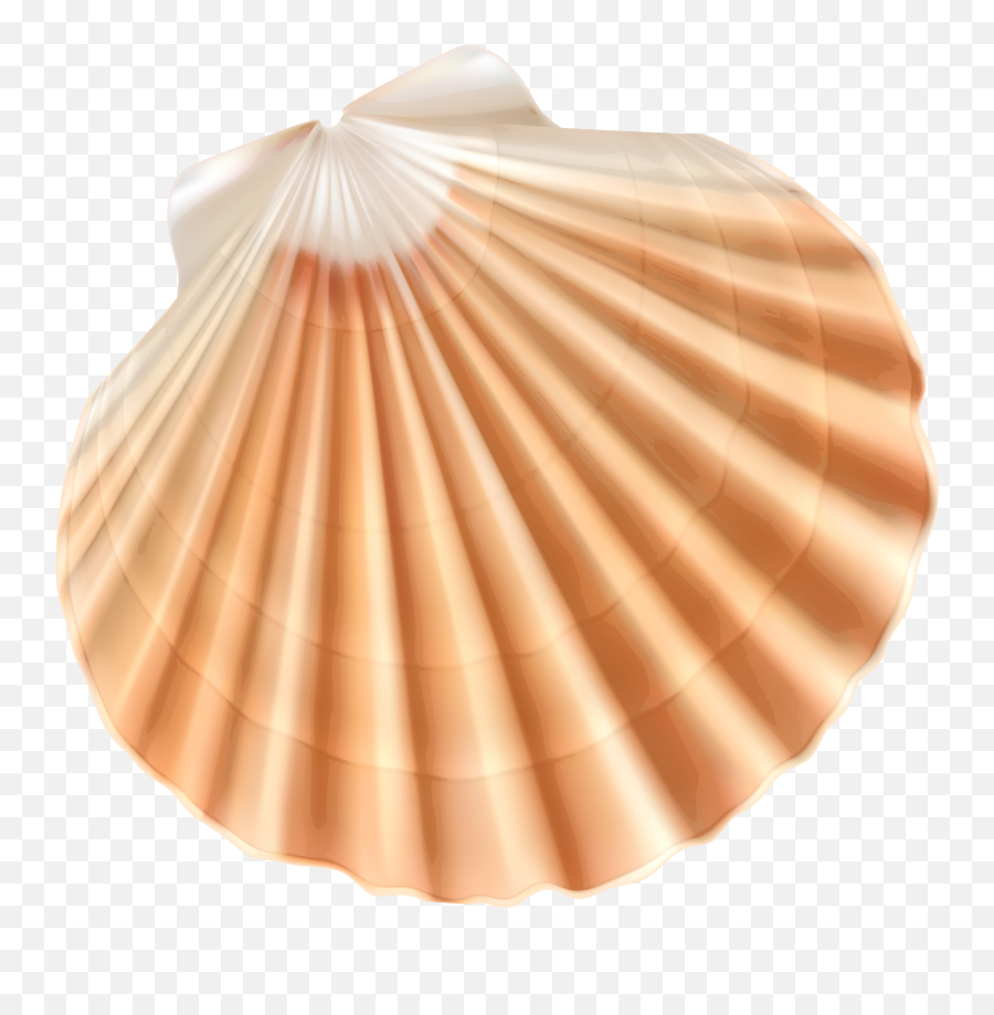 Seashell Clam Clip Art - Transparent Background Seashell Png,Sea Shell Png