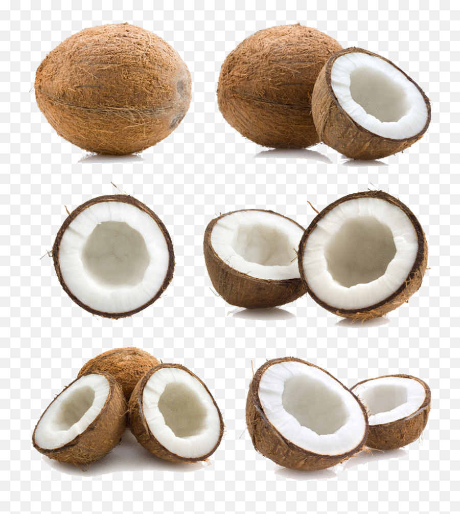 Coconut Png Free Download - Coconuts With Coconut Milk,Coconut Png