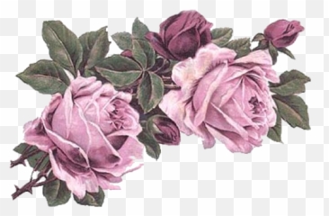 Rose Art Vintage Flowers Victorian - png