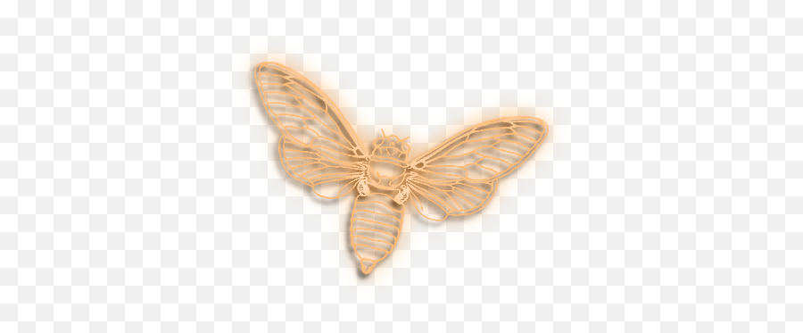 Transparent Background Bee 2 Png