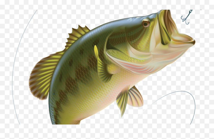 The Summer Can Be Slow For Bass Fishermen Courageous - Fishing Bass Png,Bass Fish Png