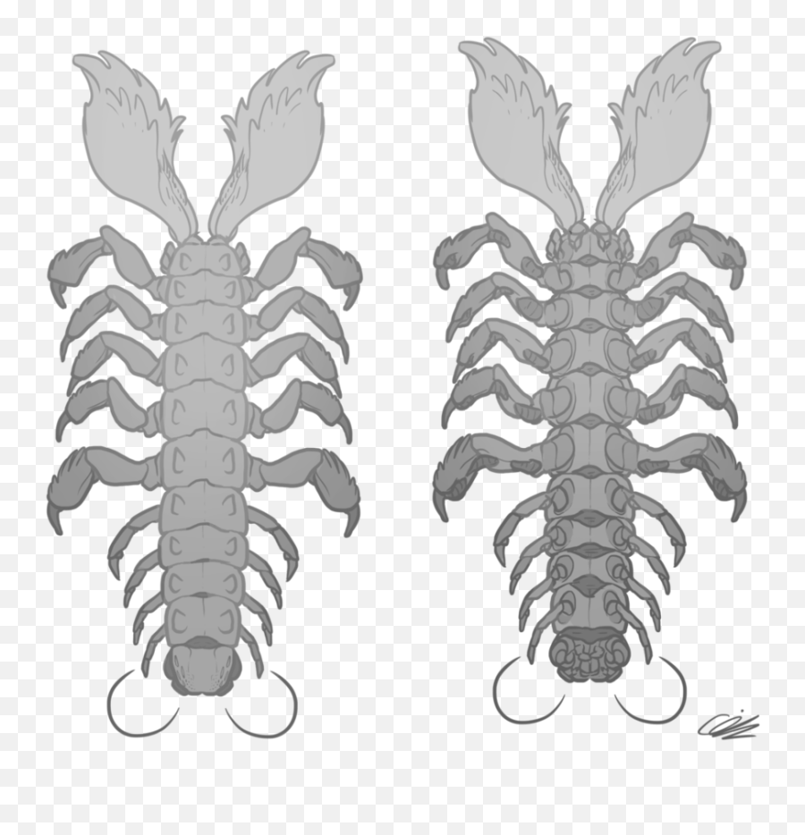 Download Desert Centipede Top And - American Lobster Png American Lobster,Centipede Png