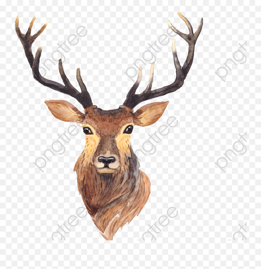 Simple Transparent Antlers Png Format Image With Size - Deer Deer With Antlers Painting,Antlers Png