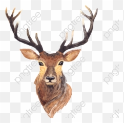 Simple Transparent Antlers Png Format Image With Size - Deer Painting