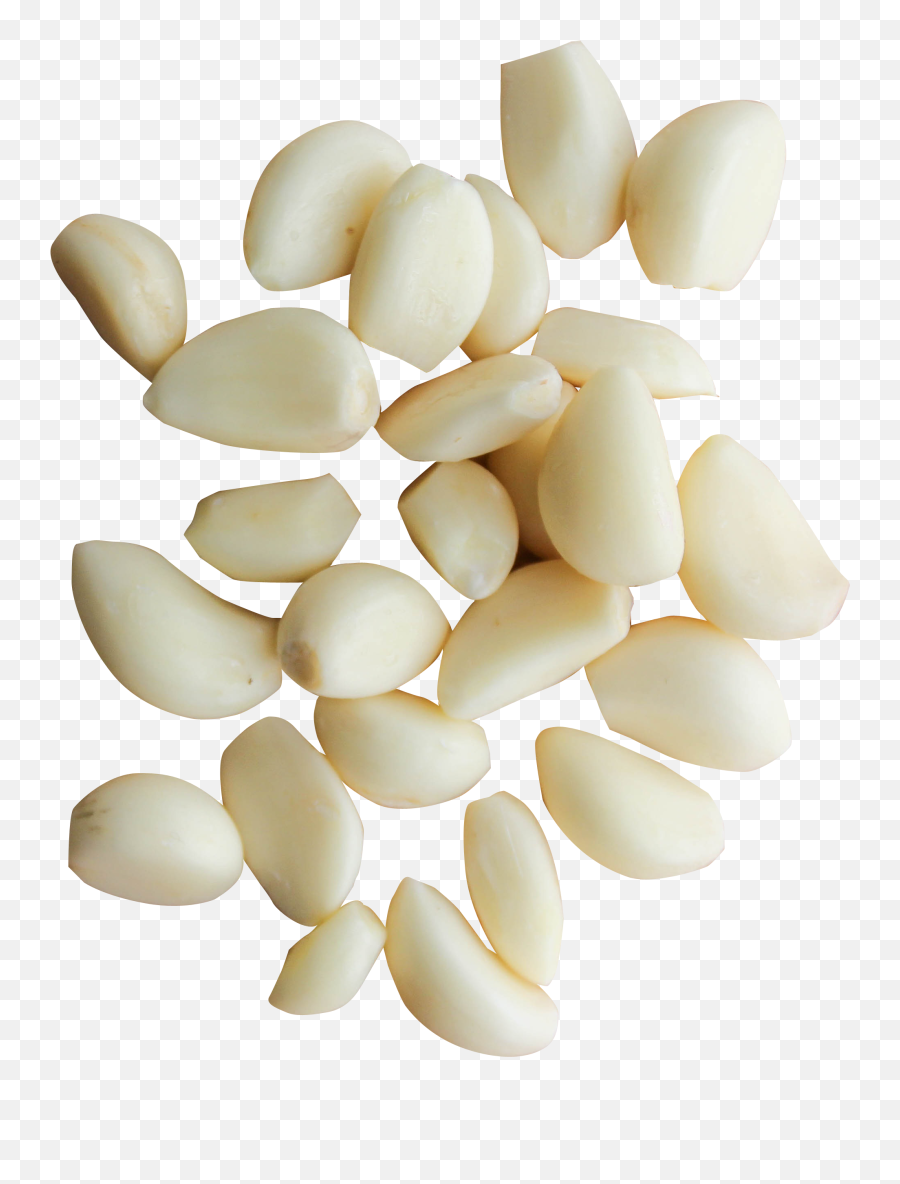 43 Garlic Png Images For Free Download - Garlic Cloves Png,Free Png Downloads