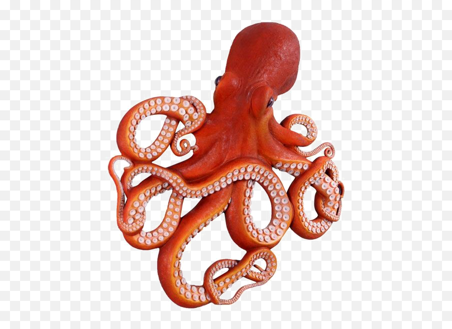 Octopus Png Clipart - Octopus Png,Octopus Png