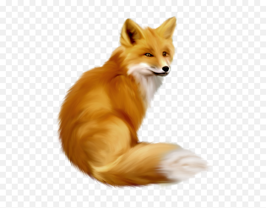 Gallery Free Clipart Animals - Realistic Fox Clipart Png,Fox Clipart Png