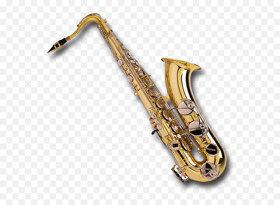 Baritone Saxophone Musical Instrument - Chinese Tenor Saxophone Png,Sax Png