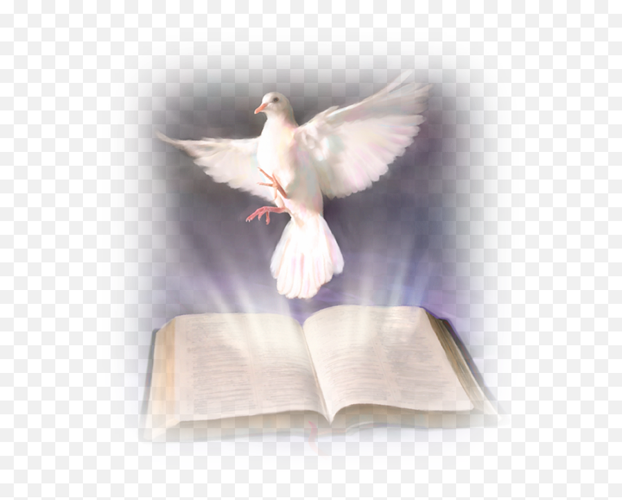 Download Bible Holy God Christianity In The Baptism Clipart - Holy Spirit Transparent Background Dove Png,Holy Bible Png