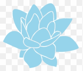 Photography U2014 Mangione Studios - Lotus Silhouette png