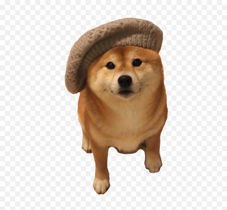 Download Shiba Inu Beret Png Image With No Background - Doge With A Hat Meme,Shiba Inu Png