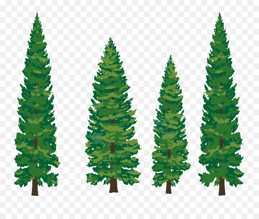 Library Of Pine Tree Forest Jpg - Cartoon Pine Tree Png,Forest Tree Png
