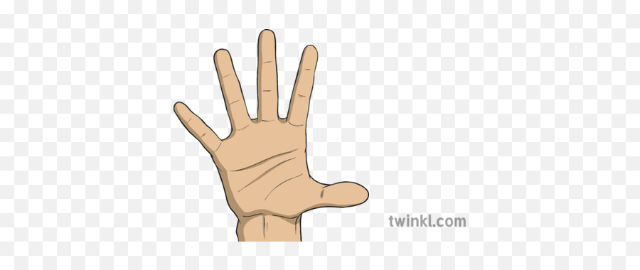 Open Hand Palm Human Body Ks2 Illustration - Twinkl Sign Language Png,Open Hand Png