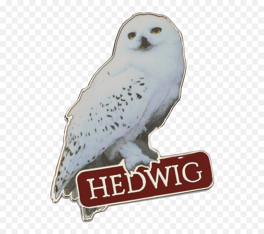 Brooches Harry Potter Cutie Collection - Snowy Owl Png,Hedwig Png