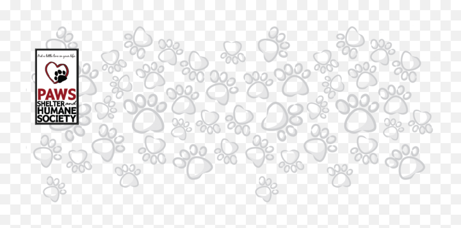 Logobg2 - 10244621png U2013 Paws Shelter Of Central Texas Decorative,Paws Png