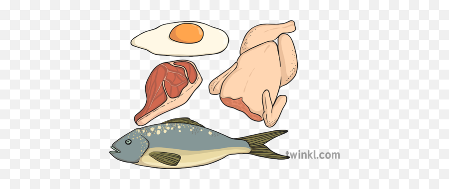 Protein 1 Illustration - Fish Products Png,Protein Png