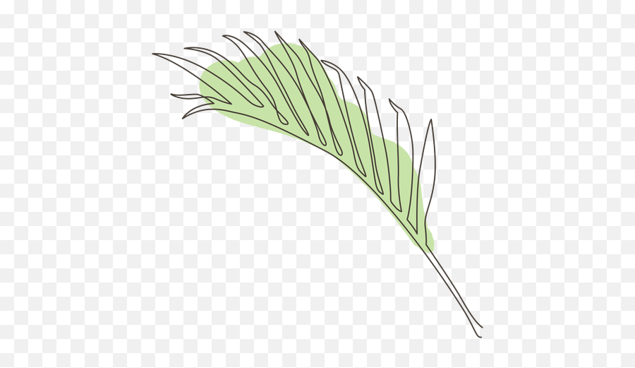 Palm Leaf Line Drawing Design - Transparent Png U0026 Svg Vector Leaf Line Drawing Png,Palm Leaf Transparent