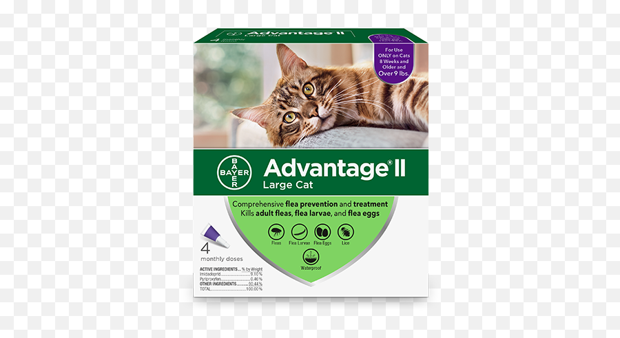 Advantage Ii For Cats Veterinary Professionals - Advantage Cat Flea Treatment Png,Flea Png