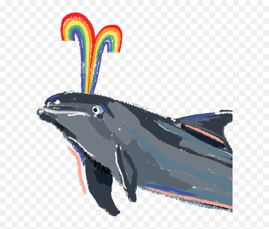 Who We Are What Were About - Baleen Whale Png,Sanuk Logos