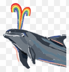 Who We Are What Were About - Baleen Whale Png,Sanuk Logos