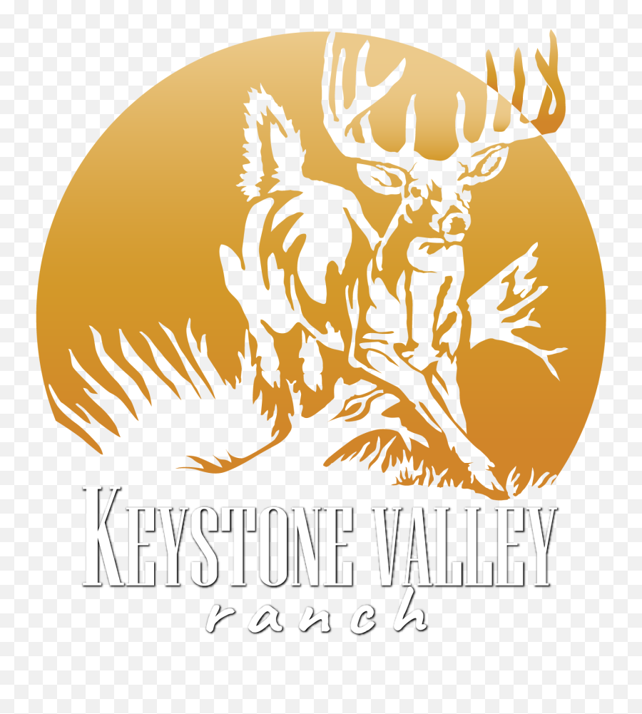 Fallow Deer Hunts In Pa - Sika Deer Hunting Trip Keystone Wild Boar Hunting Grafics Png,Deer Hunting Logo