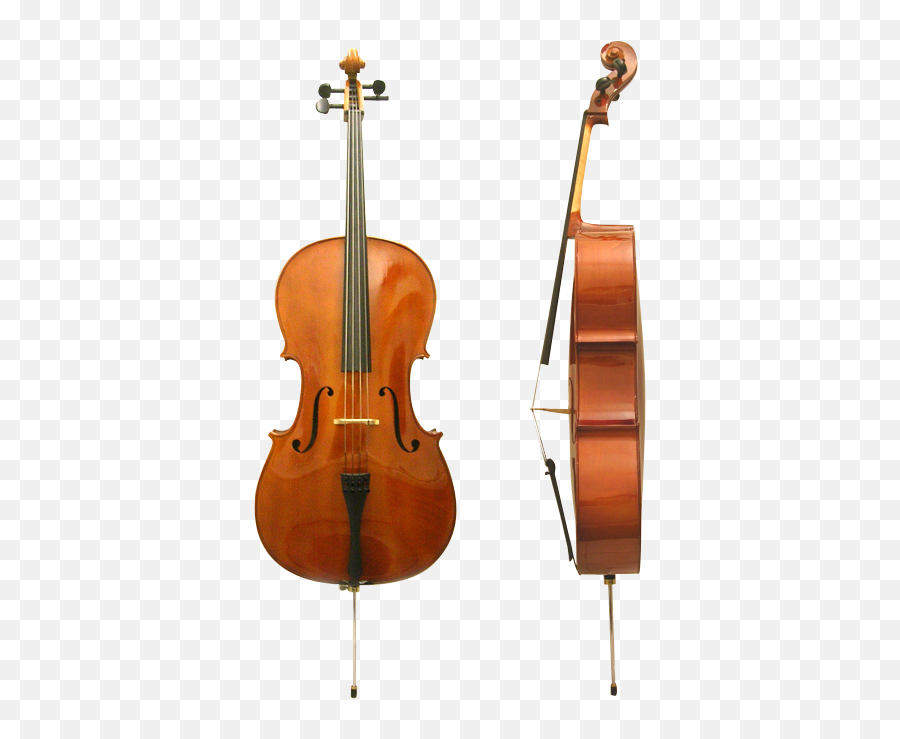 Cello - Facts About The Cello Png,Cello Png