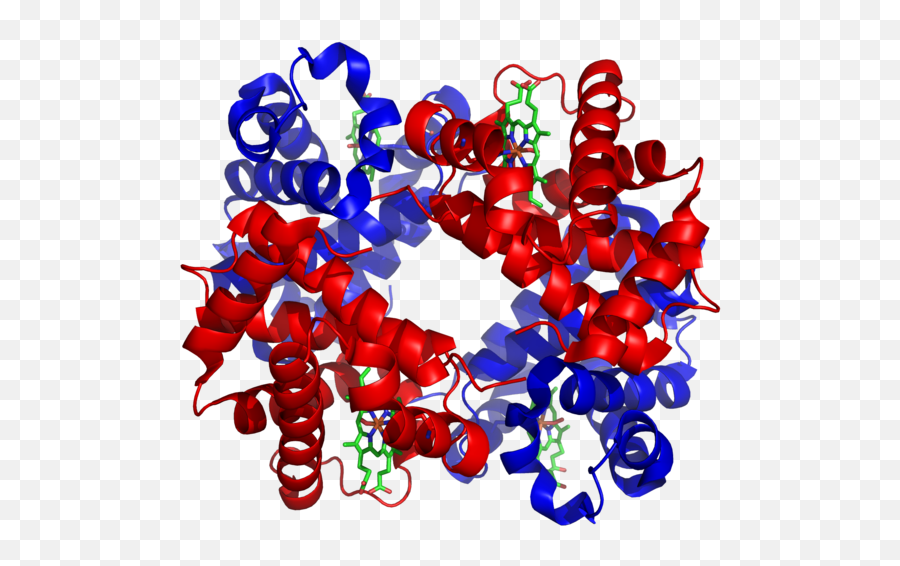 Non Enzymatic Protein Function 2 - Non Enzymatic Protein Protein With Alpha Helix And Beta Sheet Png,Dead Cells Icon