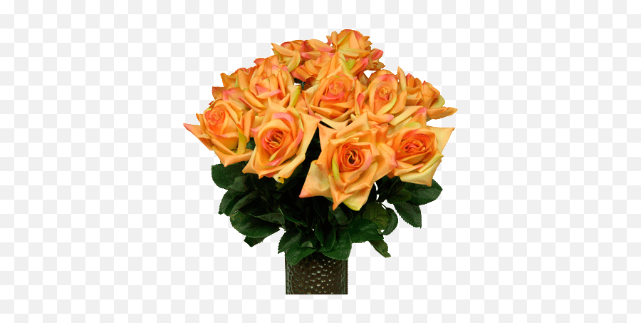 Sunset Orange Diamond Roses Md1552 - Garden Roses Png,Orange Flowers Png