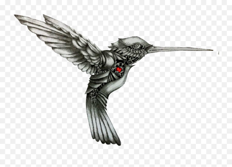 Hummingbird Drawing Tattoo Color - Hummingbird Png Download Black And White Hummingbird Tattoo,Humming Bird Png