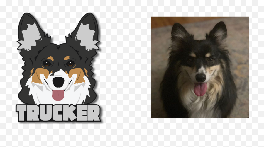 Custom Logos U2013 Team Corgi - Northern Breed Group Png,Icon Border Collies