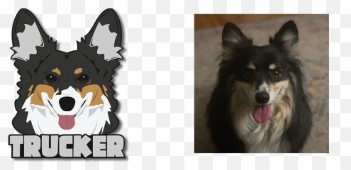 Custom Logos U2013 Team Corgi - Northern Breed Group png