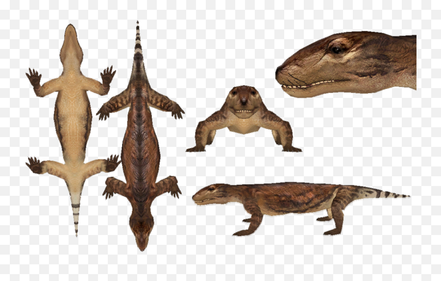 Cynodont Reptiles Png Image With - Cynodont Walking With Dinosaurs,Reptiles Png